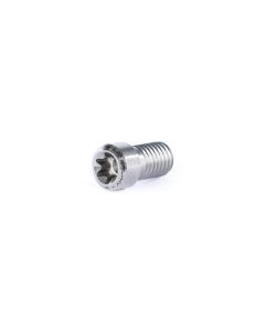 Titanium Clamp Screw - Raw