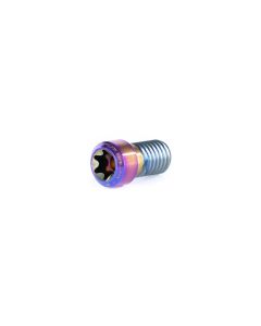 Clamp Screw - Oil Slick