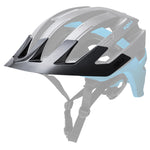 Kali Interceptor Visor Black