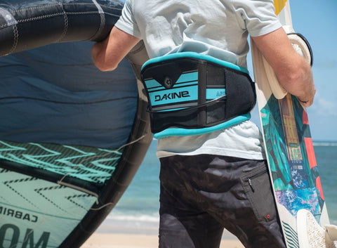 Dakine C-2 Harness (Black)