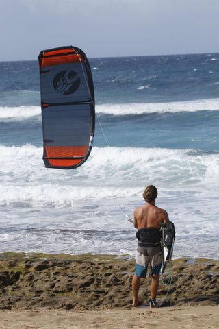 Dakine C-2 Harness (Black)