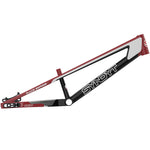 SYB195 Expert - BMX Race Frame