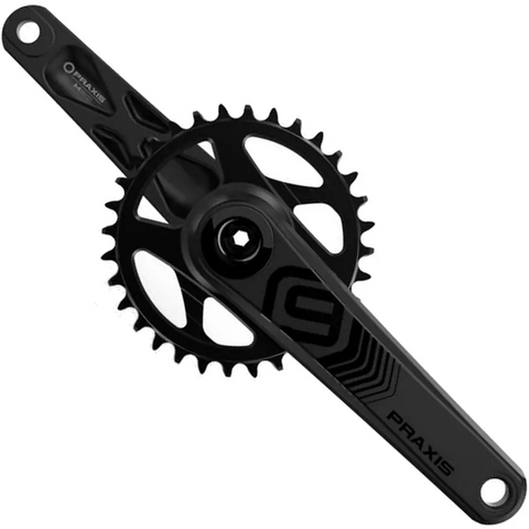 Praxis - CS MTB - DH9 Arms Only - 165