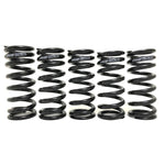 Progressive Shock Spring