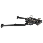 Cargo Double Kickstand