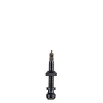 Alloy Tubeless ValvesBlack40mm