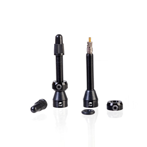 Tubeless ValvesÂ 