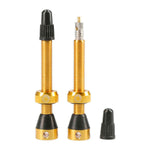 Tubeless ValvesÂ 