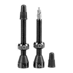 Tubeless ValvesÂ 