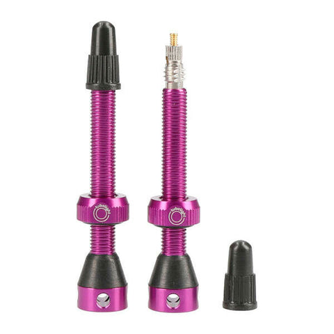 Tubeless ValvesÂ 