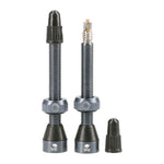 Tubeless ValvesÂ 