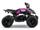 STOMP ACDC E-Box 800W 36V Electric ATV Quad Bike Motor Cross Bike Off Road Pit Bike