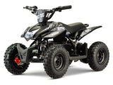 STOMP ACDC E-Box 800W 36V Electric ATV Quad Bike Motor Cross Bike Off Road Pit Bike  (PRE-ORDER ETA TBC)