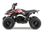 STOMP ACDC E-Box 800W 36V Electric ATV Quad Bike Motor Cross Bike Off Road Pit Bike