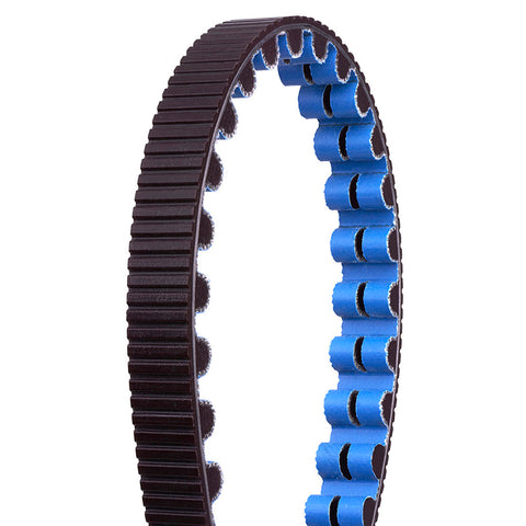 CDX Belt - Black with Blue