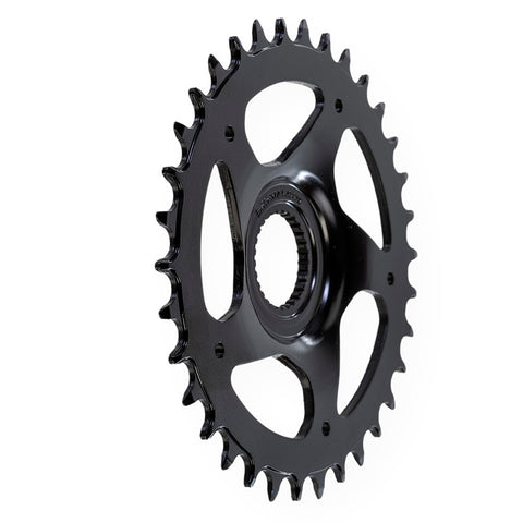 Direct Mount eBike Chainring