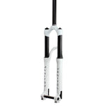 Circus Expert - Straight Steerer