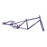 Big Dummy Frameset