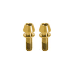 Kogel Titanium Bolt Kits Steerer Clamp / Gold