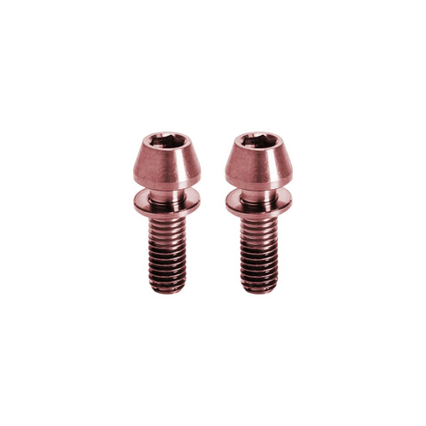 Kogel Titanium Bolt Kits Steerer Clamp / Rose