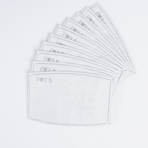 FACE COVERING disposable inserts x10