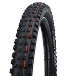 Magic Mary Addix 29er
