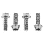 Wolf Tooth Water Bottle Cage Bolts Silver / Set of 4