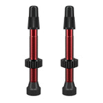 WTB Presta TCS Tubeless Valve Red / 46mm