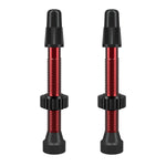WTB Presta TCS Tubeless Valve Red / 46mm