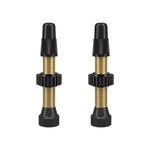 WTB Presta TCS Tubeless Valve Brass / 34mm