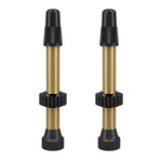 WTB Presta TCS Tubeless Valve Brass / 46mm