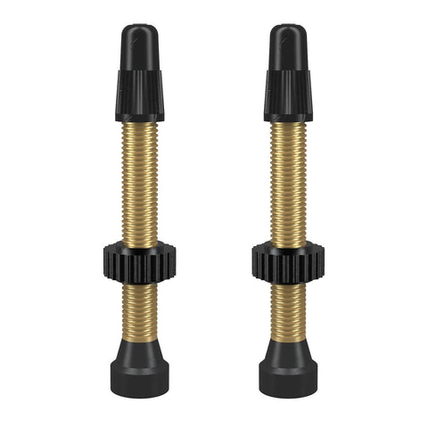WTB Presta TCS Tubeless Valve Brass / 46mm