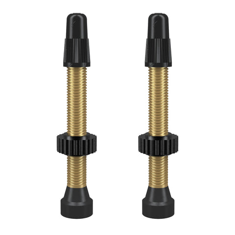 WTB Presta TCS Tubeless Valve Brass / 46mm