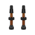 WTB Presta TCS Tubeless Valve Orange / 34mm