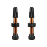 WTB Presta TCS Tubeless Valve Orange / 34mm