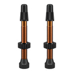WTB Presta TCS Tubeless Valve Orange / 46mm