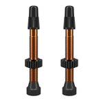 WTB Presta TCS Tubeless Valve Orange / 46mm