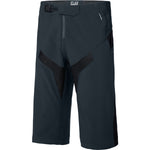 Alpine men's shorts, black medium