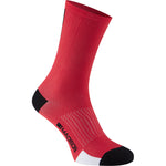 RoadRace Premio extra long sock, chilli red small 36-39